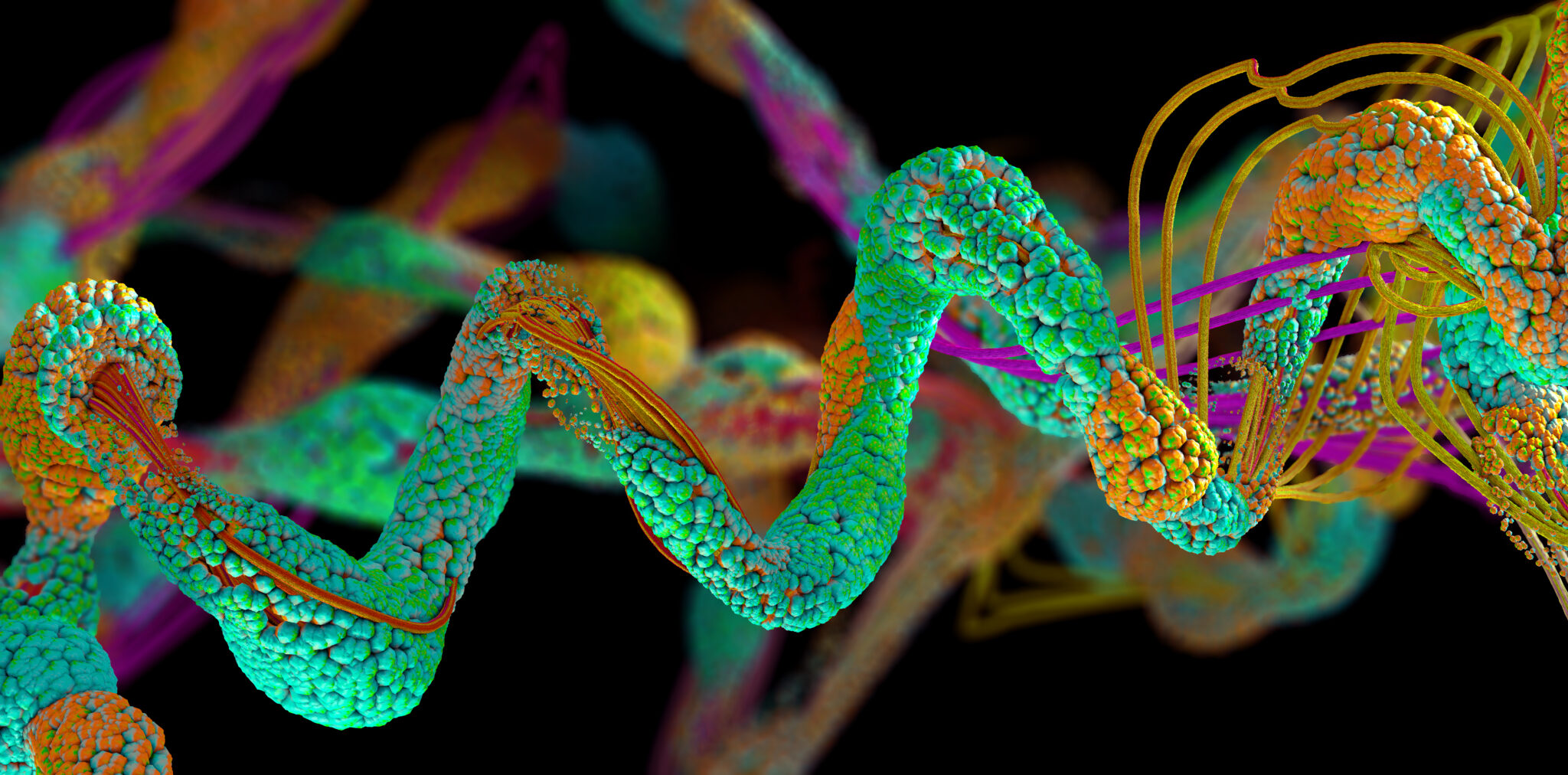 Chronic Infections / Biotoxins